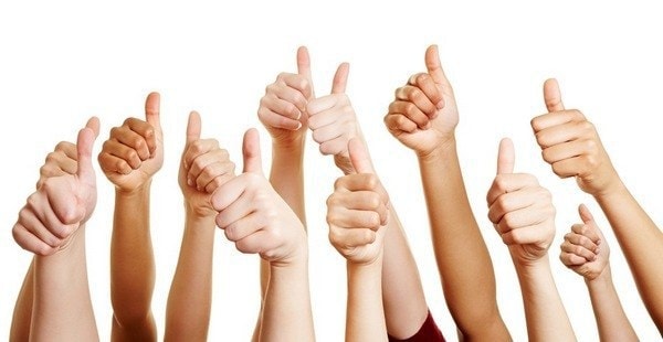 customer reviews and recommendations